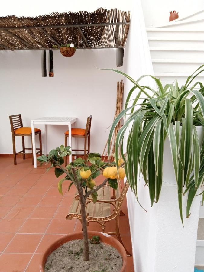 Bed and Breakfast Casa Da Umbria Odemira Zewnętrze zdjęcie